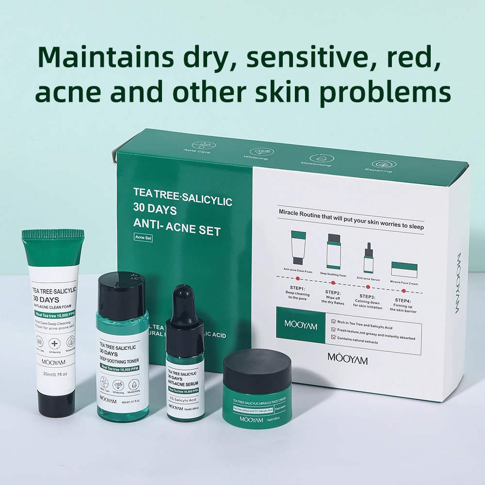 TEA TREE SALICYLIC 30 DAYS ANTI ACNE SET MOOYAM