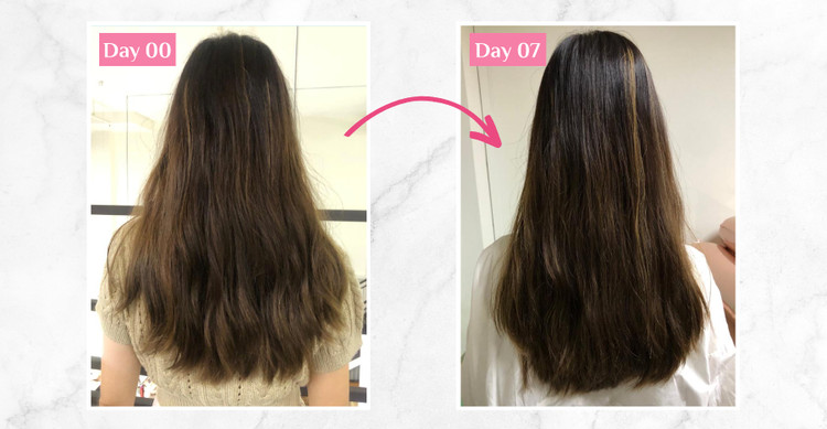 خرید روغن مو فینو پرمیوم تاچ